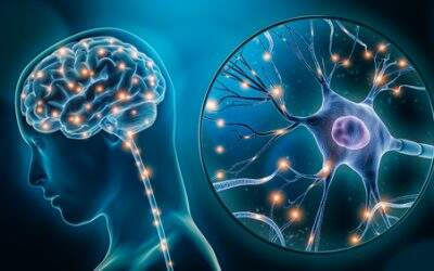 Estudo revela como a estimulação cerebral profunda ajuda no controle da epilepsia